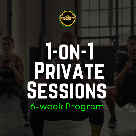 1-on-1 Private Sessions once a week
